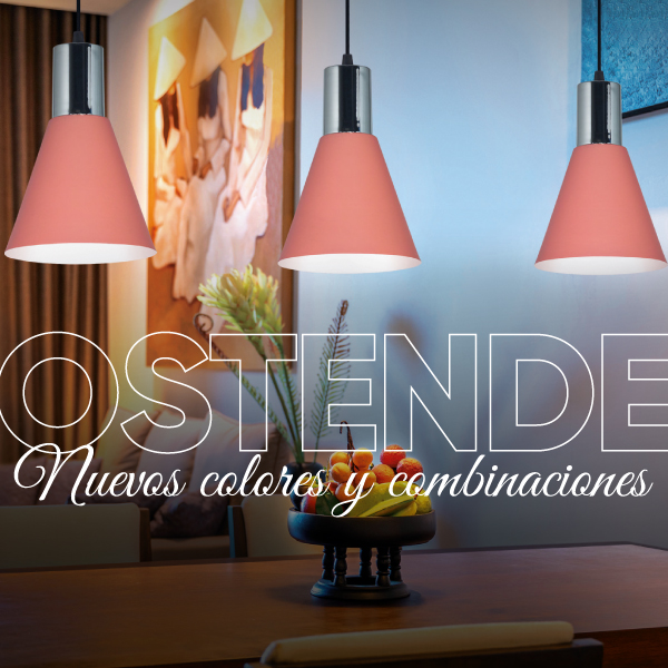 Novedades en la Línea Ostende